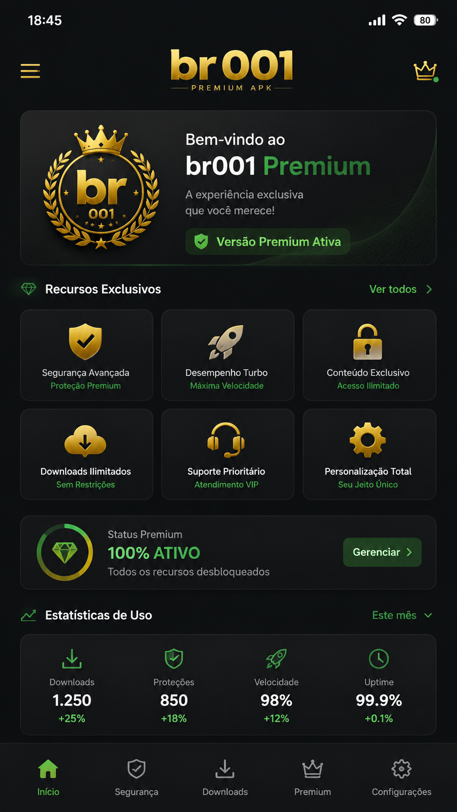 br001 screenshot
