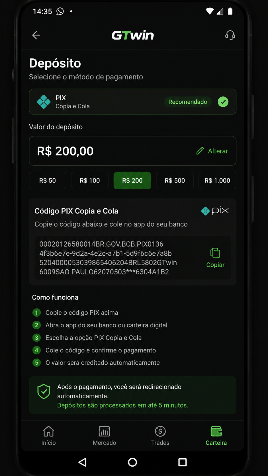 GTwin screenshot