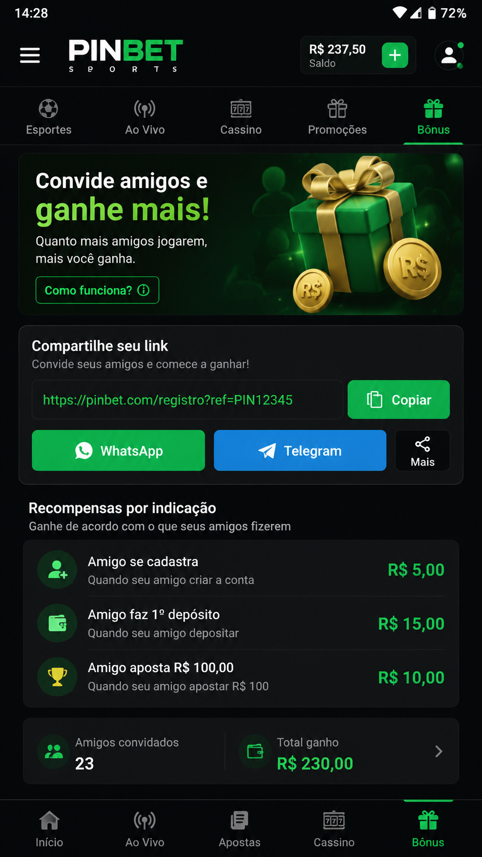 Pinbet screenshot